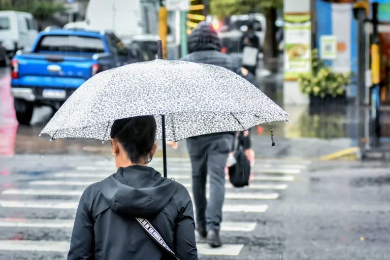 lluvia_10-1024x683