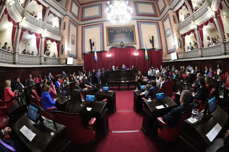 senato-1024x683
