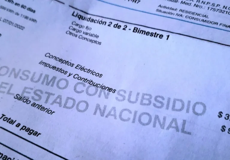 boleta-gas-luz-subsidio-1024x711