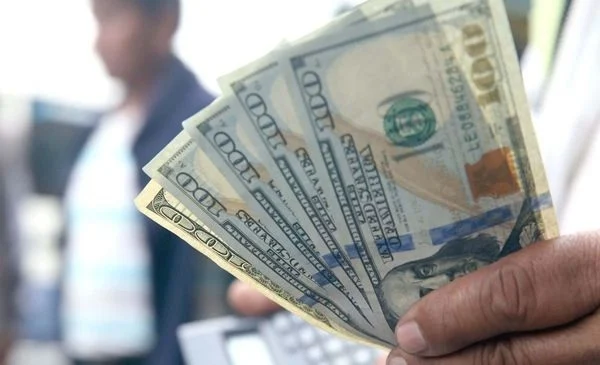 dolares