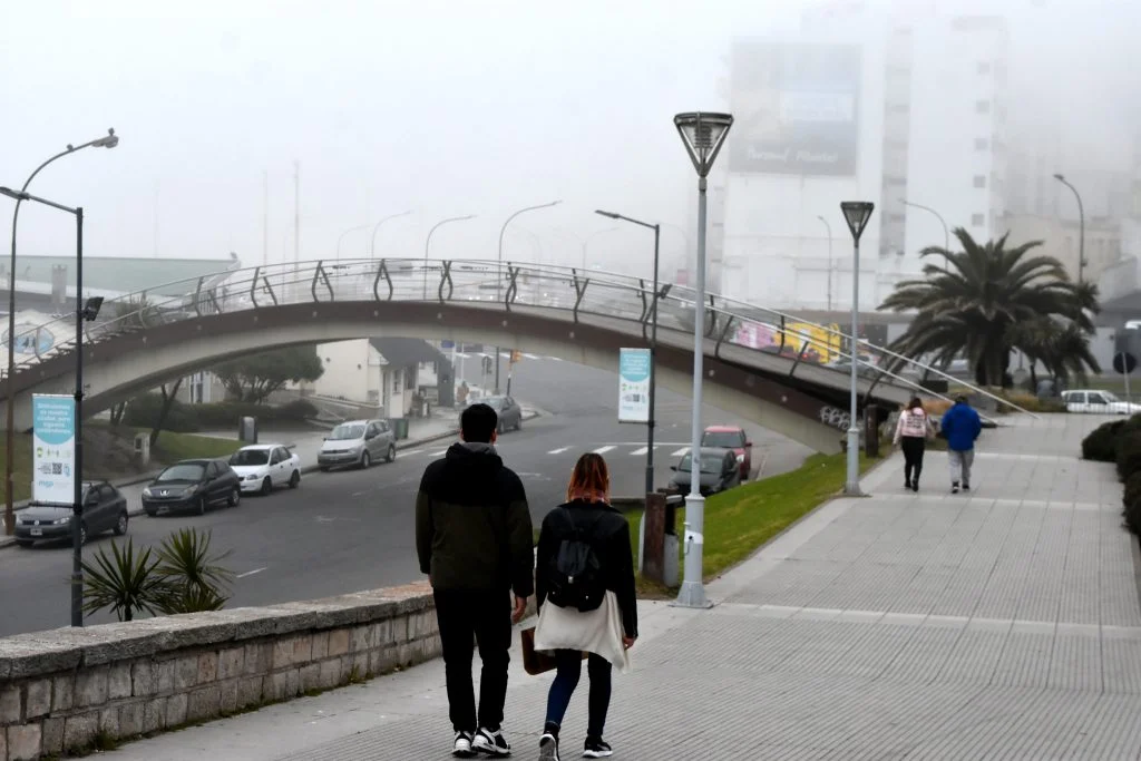 Neblina-15-1024x683