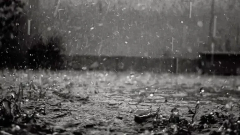 lluvia-negra_862x485