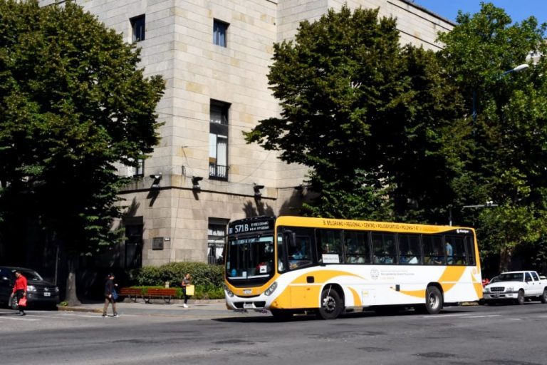colectivos-transporte-mardelplata
