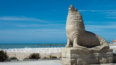 mar-del-plata-lobo-marino-jpg.
