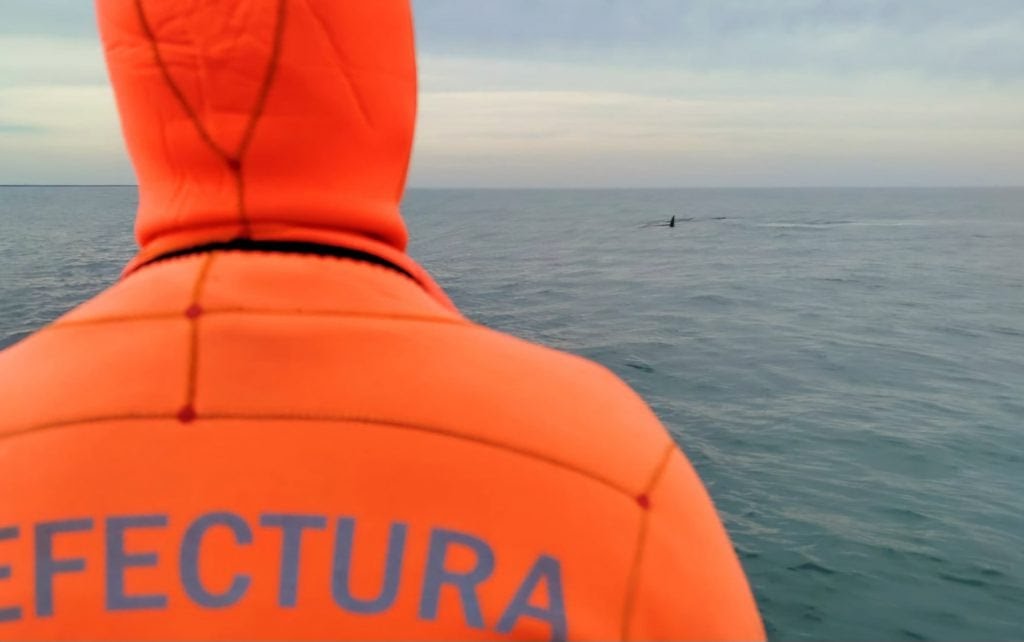 PREFECTURA-1024x642