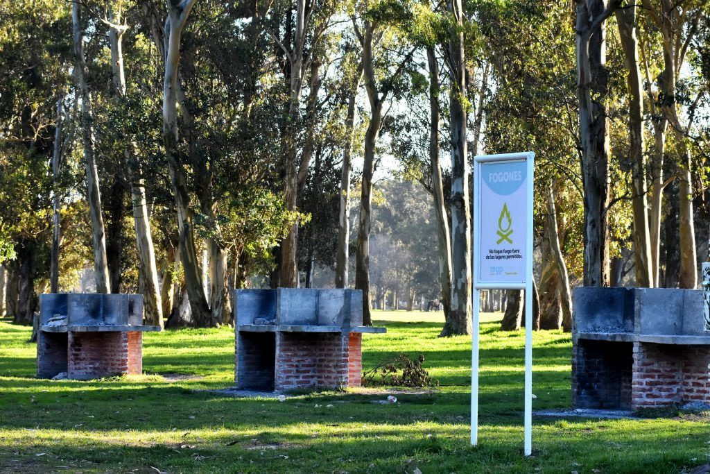 Camet-28-1-1024x683