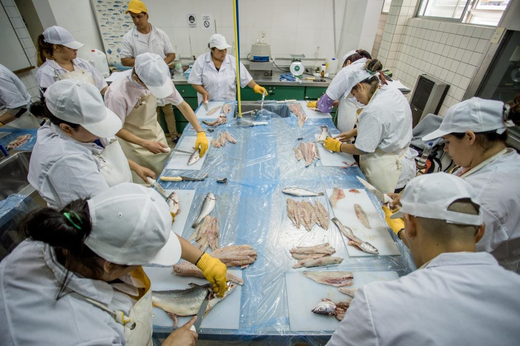 Escuela-de-pesca-1024x683