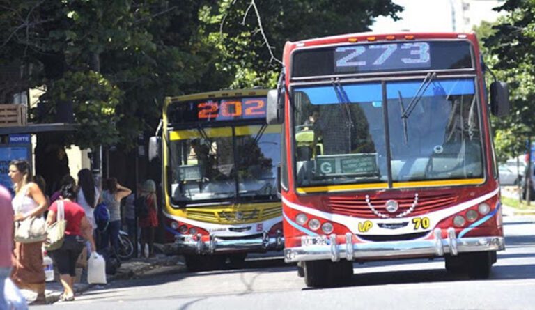 micros-la-plata-uta-1-768x445