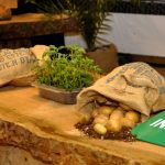 GENERAL-ALVARADO-Fiesta-Nacional-de-la-Papa-1024x736 (1)