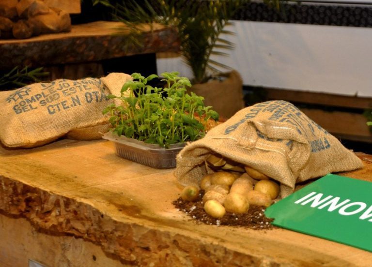 GENERAL-ALVARADO-Fiesta-Nacional-de-la-Papa-1024x736 (1)