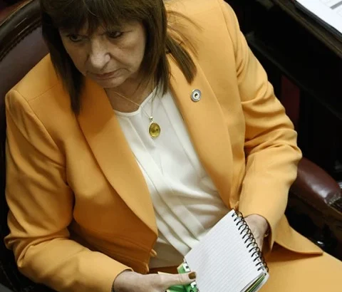 69bb7134c3d87_480_640!