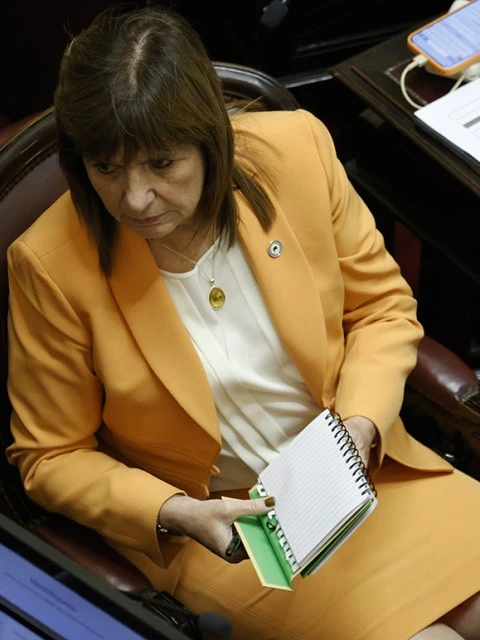 69bb7134c3d87_480_640!