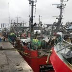Fresqueros-descarga-muelle1-MAY26-768x483