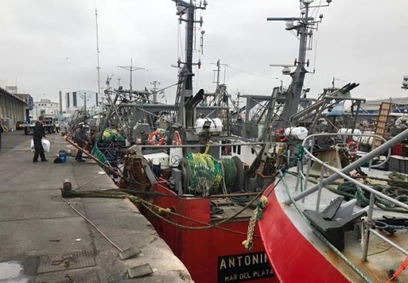 Fresqueros-descarga-muelle1-MAY26-768x483