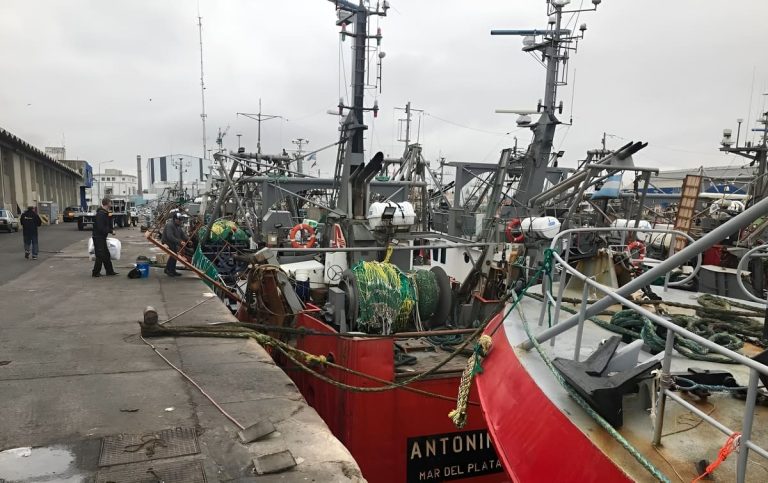 Fresqueros-descarga-muelle1-MAY26-768x483