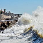 OLAS-2-1024x683 (1)
