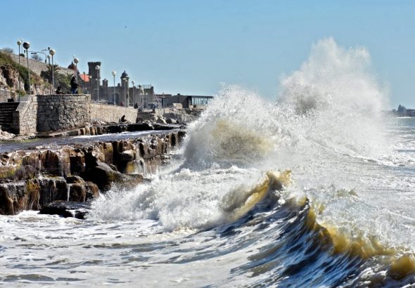 OLAS-2-1024x683 (1)
