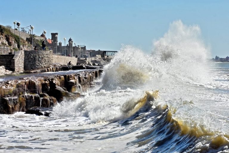 OLAS-2-1024x683 (1)