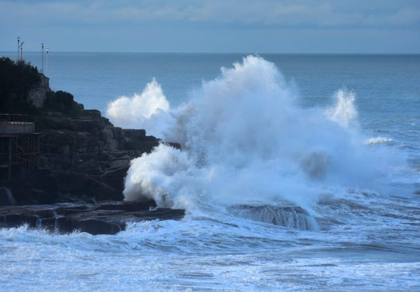 Olas-4-1