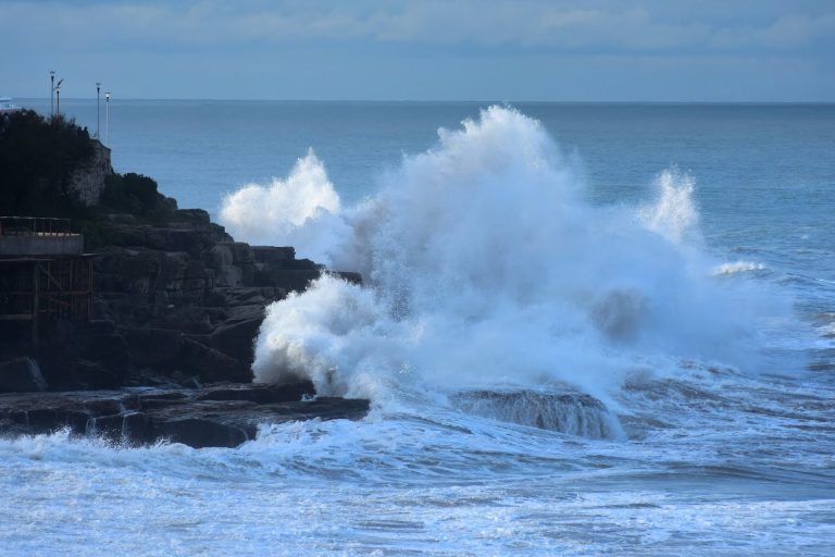 Olas-4-1