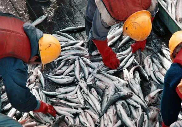 Pesca